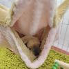 Hammock Birds Plush Hanging House Small Animals Squirrel Double Layer Hammock Beds Parrot Nest Squirrel Warm House
