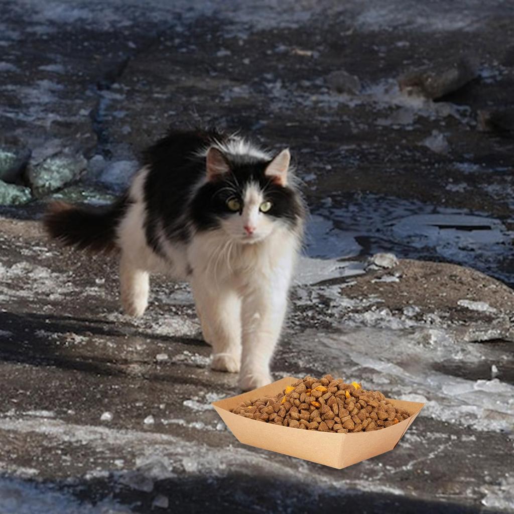 50pcs Collapsible Single Use Pet Feeding Bowl Feeder Dishes Recyclable Kraft Paper Feeding Plate Convenient Travel Dish