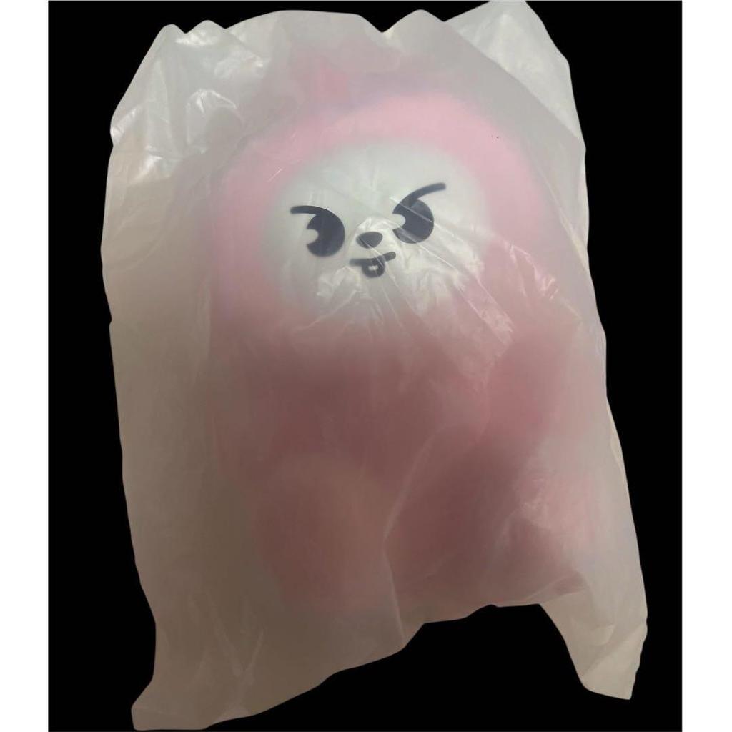 Used Stray Kids Sukizu Penmi TOY Nui Leebit Ribit Reno