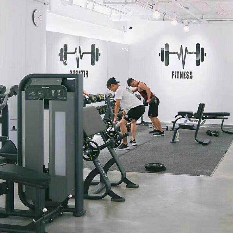 SHUA Bicep Curl Bench