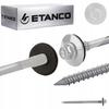 GTRW SP A19 screws 6.4/7.0x100mm RAL 9010