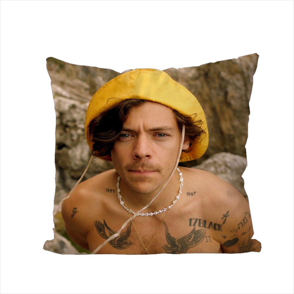 Singer Hharry Styles Pillow Case For Car Sofa Decorative Home Doublesided Print Plush Square Throw Pillow Cushion Cover