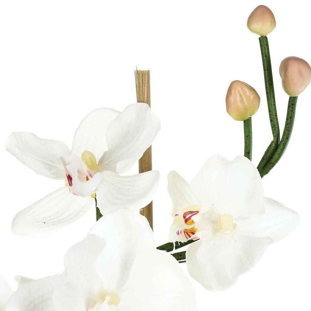 Artificial Orchid With Glass Vase White