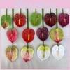 Anthurium Andraeanum Linden Faux Plant With Soft Rubber Material For Festive And Home Styling