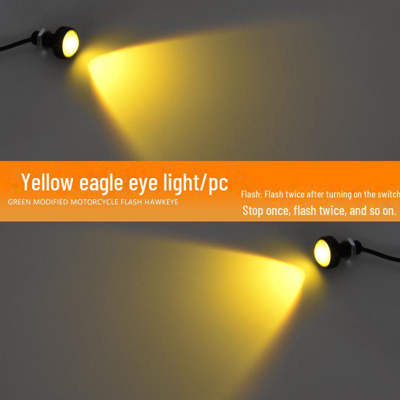 12V LED Eagle Eye Motorcycle License Plate Light - Waterproof, High Brightness, Daytime Running, Brake Light