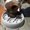 Simple Design Pet Slow Feeding Bowl, Wavy Column Design, Dual-Purpose for Food & Water, Easy To Clean, for Cats & Dogs Feeding