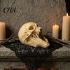 Detaillierte Horrorfigur für Regale 3D-gedrucktes Halloween-Schädel-Ornament, Realistische Statue, Gruselig Langlebiges PLA Zähnefletschend Geisterhaft