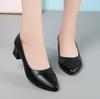 Vendita Calda Scarpe da Donna Scarpe da Donna Moda Décolleté Tinta Unita Primavera Estate Bocca Bassa Fibbia Punta Rotonda Tacco Scarpe da Donna