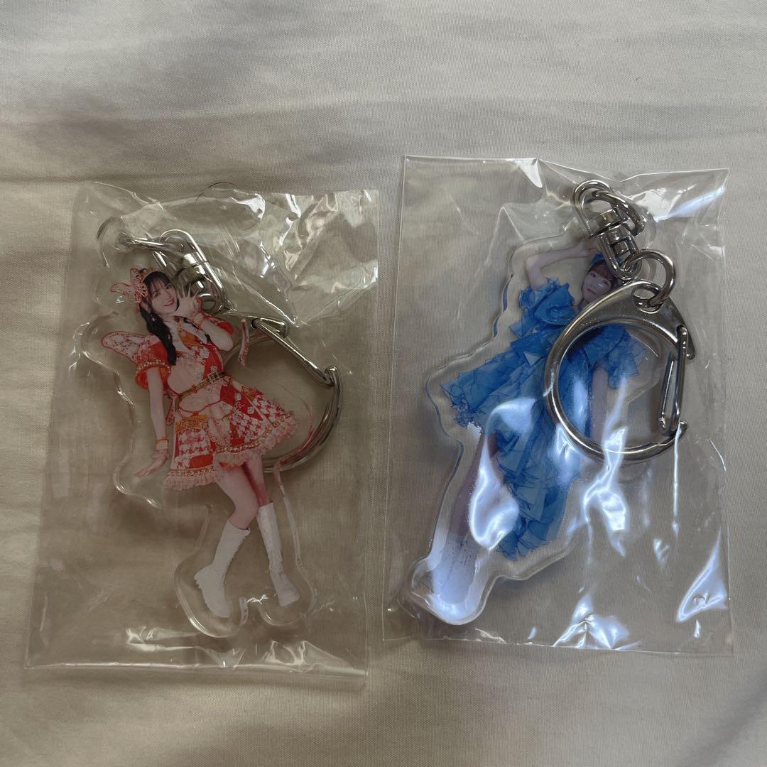 

[USED] Fruits Zipper Acrylic Keychain