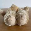 [USED] Antique Teddy Bear, Sitting Bear, Plush Toy, Beige, for Kids