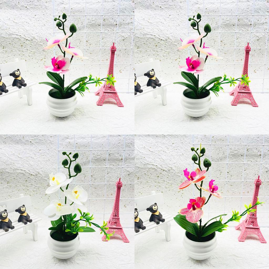 Plastic Orchid Bonsai Ornament With Injection Molded Finish For Living Space And Gift Ideas