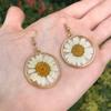 1Pair Creative White Daisy Pressed Studs Earring Boho Style Pressed Flower Earrings Vintage Fashion Ear Jewelry Party Gift