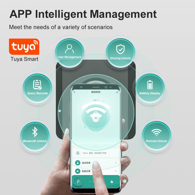 Fingerprint Drawer Cabinet Lock Smart Wardrobe Furniture Fingerprint Locks APP Intelligent Management Mailbox Locks