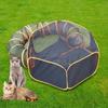 Interactive Exercising Hiding Training Play Chase Hide Pet Supplies Cat Tunnel Tent Tunnel Cat Toy