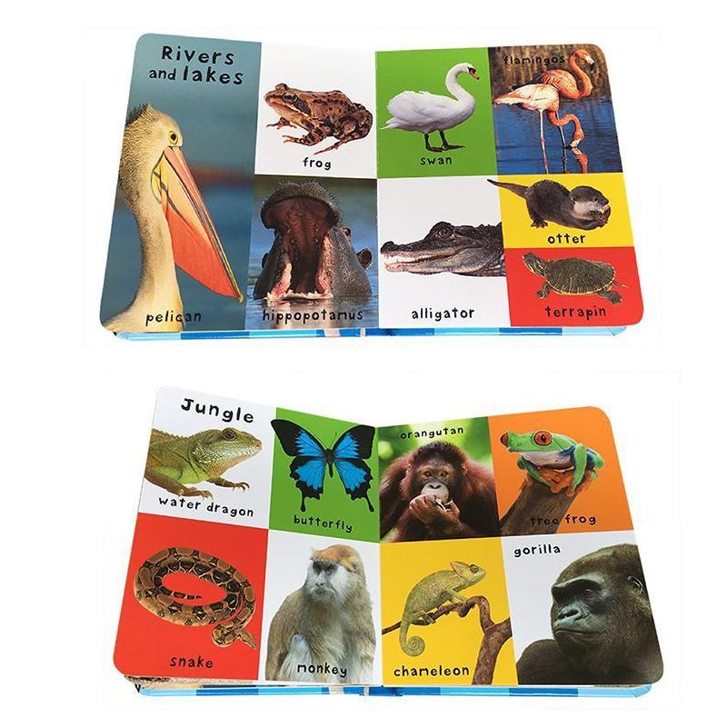 0-2 Yaş İngilizce Çocuk Bilişsel Ansiklopedisi Bilişi Geliştirme Çocuklar İçin Erken Öğrenme Kitapları Hediyeler