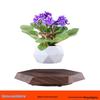 Magnetic Levitation Floating Plant Pot for Home Decoration