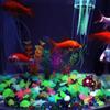 50/100Pcs High Brightness Colorful Luminous Stones Handmade Micro Landscape Glow In Dark Stones Long-lasting Multicolor