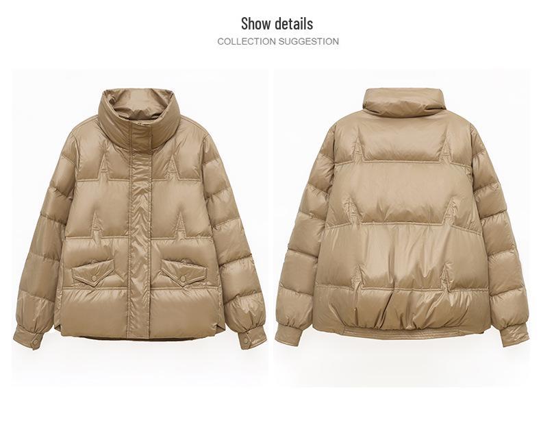 Women's 2024 Winter Korean Style Stand-Up Collar Plus Size Warm Down Jacket for Middle-Aged and Elderly