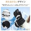 Ski and Snowboard Gloves with 3M Thinsulate Smartphone Waterproof Leash Fleece and Lift Ticket Storage Technology, Compatible, Pockets, Dual-Layer