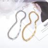 Stylish Titanium Steel Hip-Hop Clavicle Chain Necklace for Women