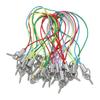 20/50pcs Lanyard Lariat Strap Cord With Eye Pins Screw Colour Strap Charm Cord Rope Keychains Hooks Mobile Phone DIY Accessories