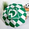 Green Bremen Emblem Automatic Folding Umbrella - 8-Rib Travel Umbrella with Auto Open/Close & Portable, Gift for Christmas, Birthdays