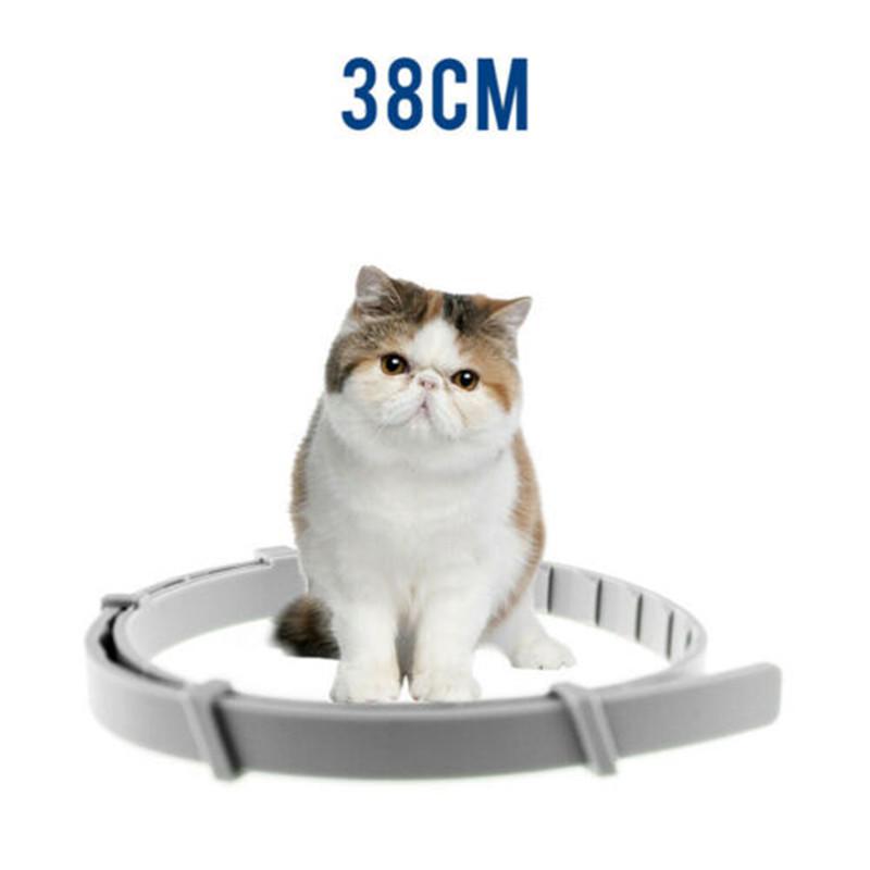 Pisici și câini Anti-purici Păduchi reglabil pet silicon insect repelent guler (aluminiu cutie)