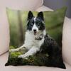 Cute Pet Animal  Cushion Cover Scotland Border Collie Pillowcase for Sofa Car Decor Dog Printed Soft Plush Pillow Case