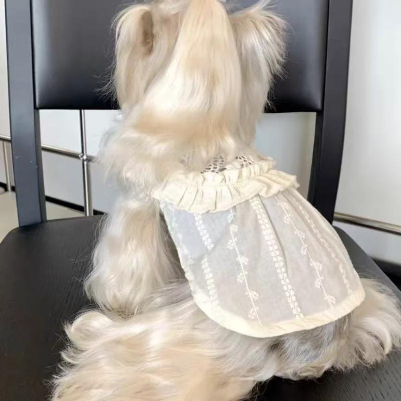Pet dog dog out clothes cute fungus edge skirt small and medium pet Maltese than bear teddy