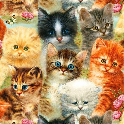 Full 5D Diy Diamond Painting Cartoon Animal Pet Cats Embroidery Cross Stitch Home Decor Handmade