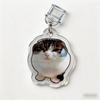 Creative Acrylic Dust Plug Cute Hamster Funny Meme Animal Theme Phone Charm Keychain Charging Port Protector Pendant2