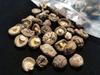 Yunnan Specialty Dried Shiitake Mushrooms, Four Seasons Premium Choice, 250g.