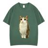 Cat Owl Funny Meowl Meme Brainrot Graphic Tshirts Unisex Unisex Fashion Short Sleeves Tshirt Cotton Oversized T Shirts Streetwear