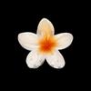 Hawaiian Style Gradient Flower Crab Hair Clips for Women Plumeria Barrettes Beach Vacation Hair Claw for Thin/Thick Hair Accessories
