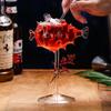 Puffer Fish Cocktail Goblet Bar i amerikansk stil Personlig vinkopp Prickly Globefish Molecular Margaret Blandade dricksglas
