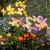 Enpufike LED Solar Butterfly Garden Stake Light