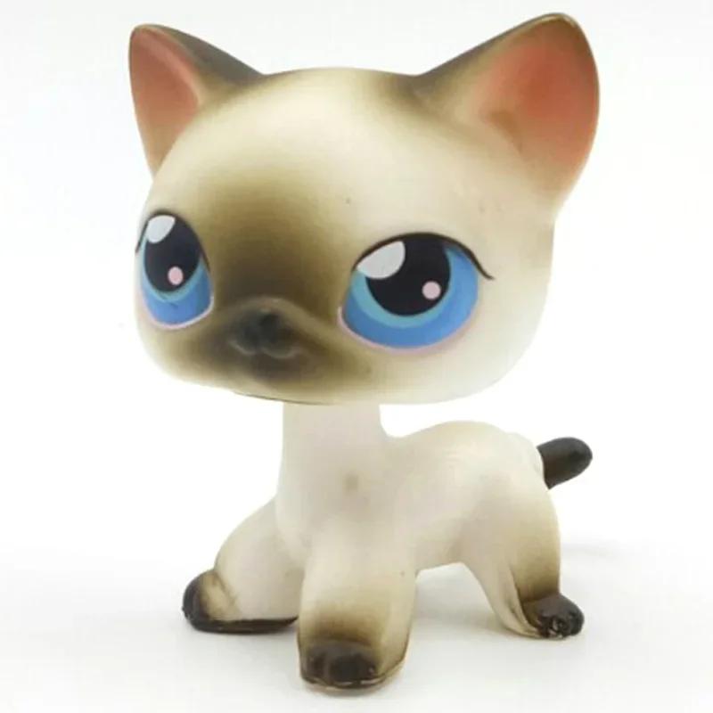 Rare Littlest Pet Shop Lps Toy Toy Mini Stands Short Hair Kitten Old Figures Collection Al Bobble Head Toy