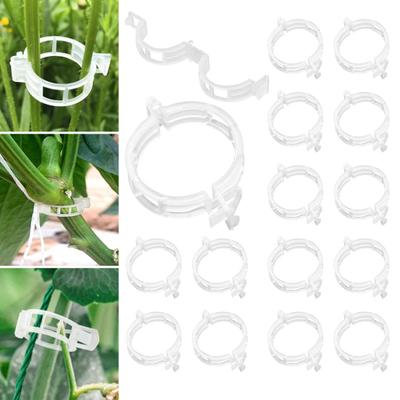 100/200/300 pezzi di clip per piante in plastica, clip di supporto per piante riutilizzabili per traliccio di pomodori