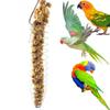 Bird Food Holder Cage Feeder Toy Parrot Stainless Steel Food Bowl Hanging Skewer for Fruit Treat for Lovebird Conure