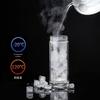 GUOZI One-Touch Tea Infuser Glass Bottle
