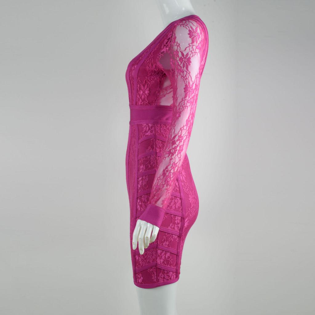 Elegant Rose Red Mesh Lace Bodycon Dress