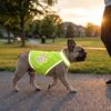 Giacca Visibilità Regolabile per Cuccioli, Abbigliamento Fluorescente Riflettente per Animali Domestici per Passeggiate Notturne