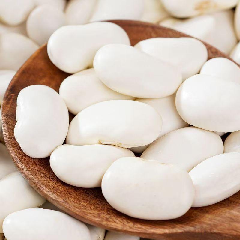 Yunnan White Kidney Beans for Porridge and Soup
