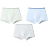 Boys' Cooling Mesh Boxer Briefs with Antibacterial Silk Crotch