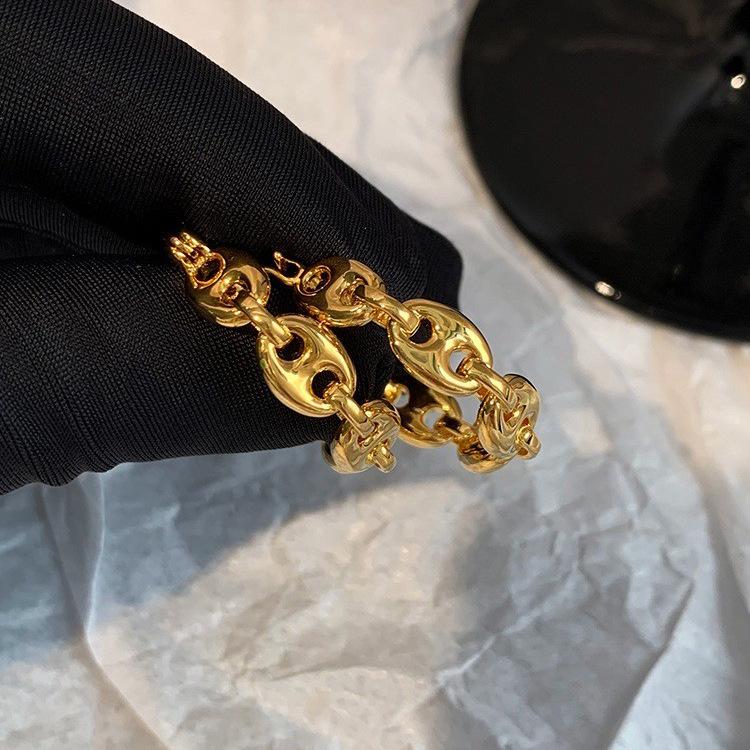 European-American Metal Style Pig Nose Chain Earrings: Women's Fashion, Versatile, Light Luxury, High-Quality Jewelry.