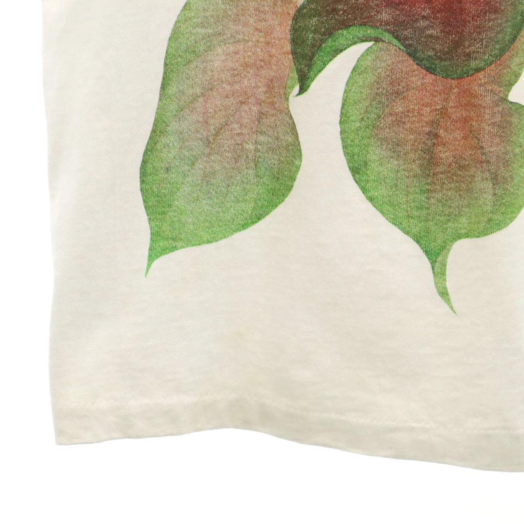 anbil 90s Made in USA Old Short sleeve T-shirt S White Men's Used