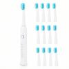 Sonic Toothbrush Clear with 12 Replacement Brush Heads Included 5 Auto Timer USB for Plaque Periodontal and Whitening (White) Modes,