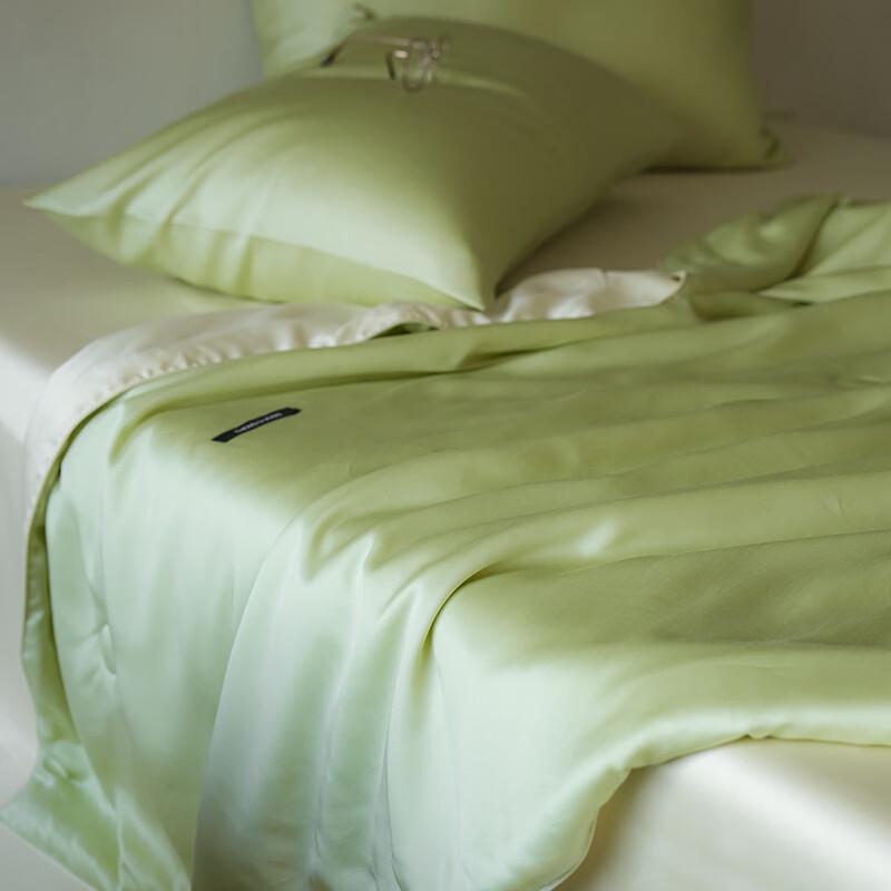 Brangdy Simple Two-Tone Ice Silk Air Conditioning Quilt