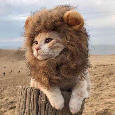 Peruka z grzywą lwa dla psów, puszyste nakrycie głowy dla zwierząt z uszami, kostium dla zwierząt, pluszowy kaptur dla kota na Halloween, imprezę świąteczną