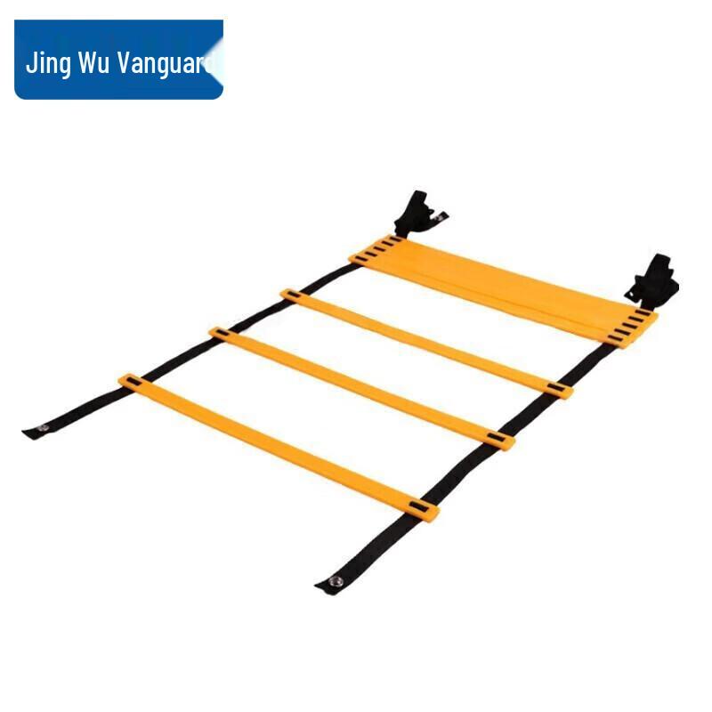 Agility Training Ladder